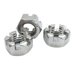 صامولة عرافة مشقوقة رقيقة صامولة القلعة